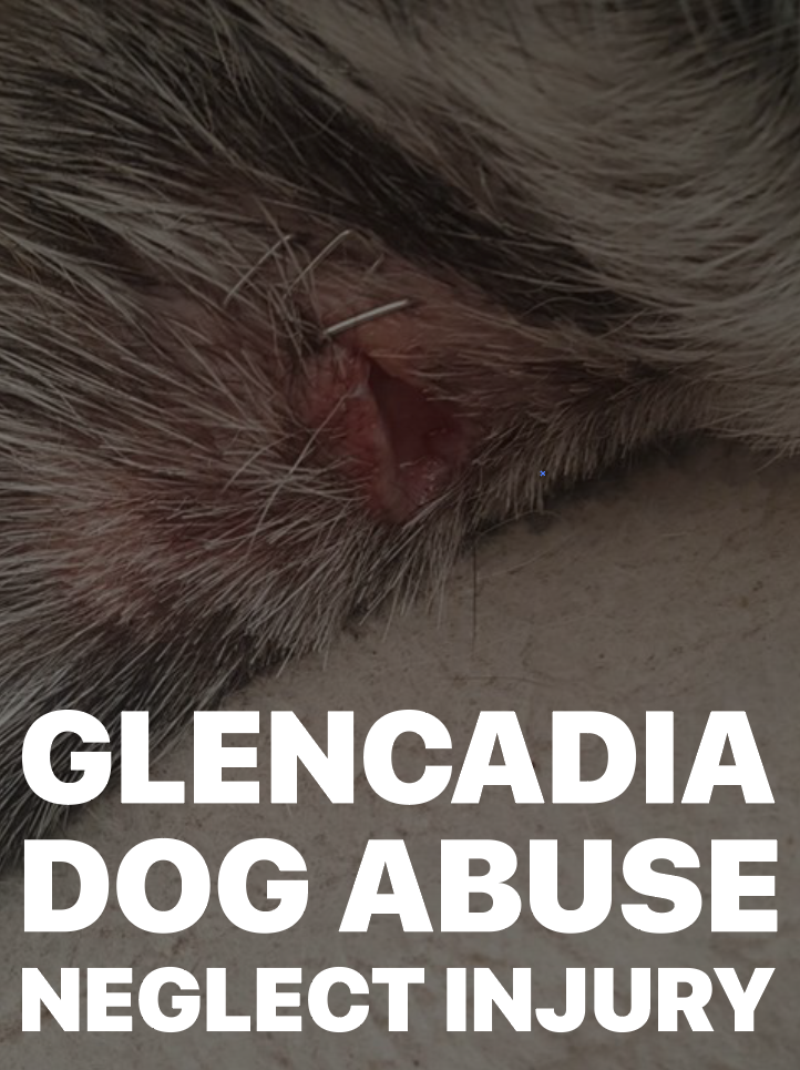 Glencadia Abuse