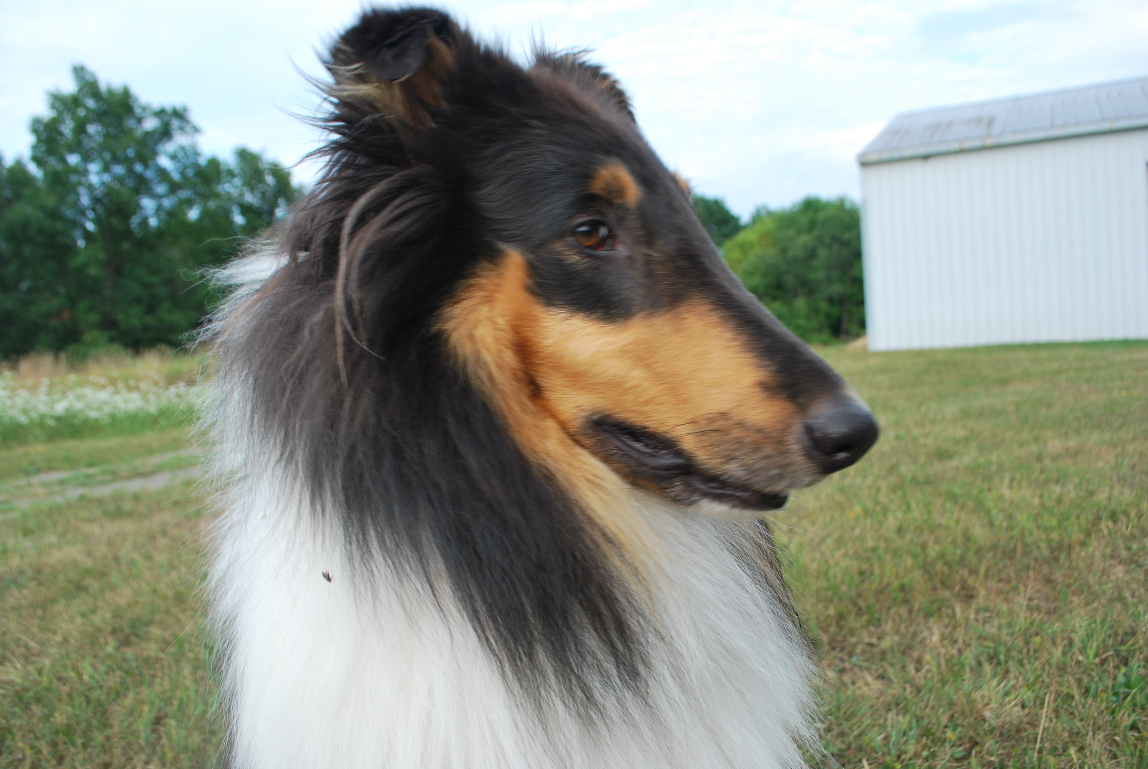 Keuka Moon Farm's Windsor