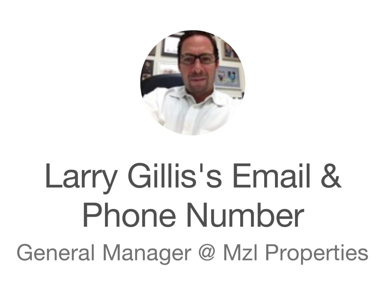 Larry N Gillis MZL Properties 