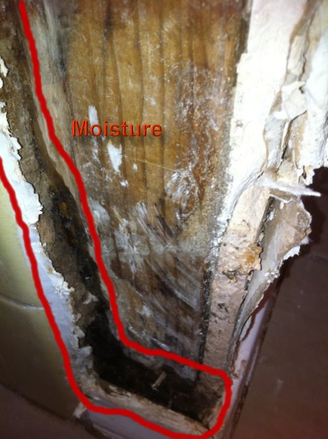 area showing the previous wood rot from prior leakage