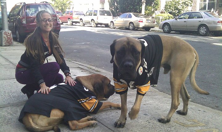 TWO DOGS AND ANOTHER STRAY DOG WHICH IS BIMBO MARY PRANTIL 