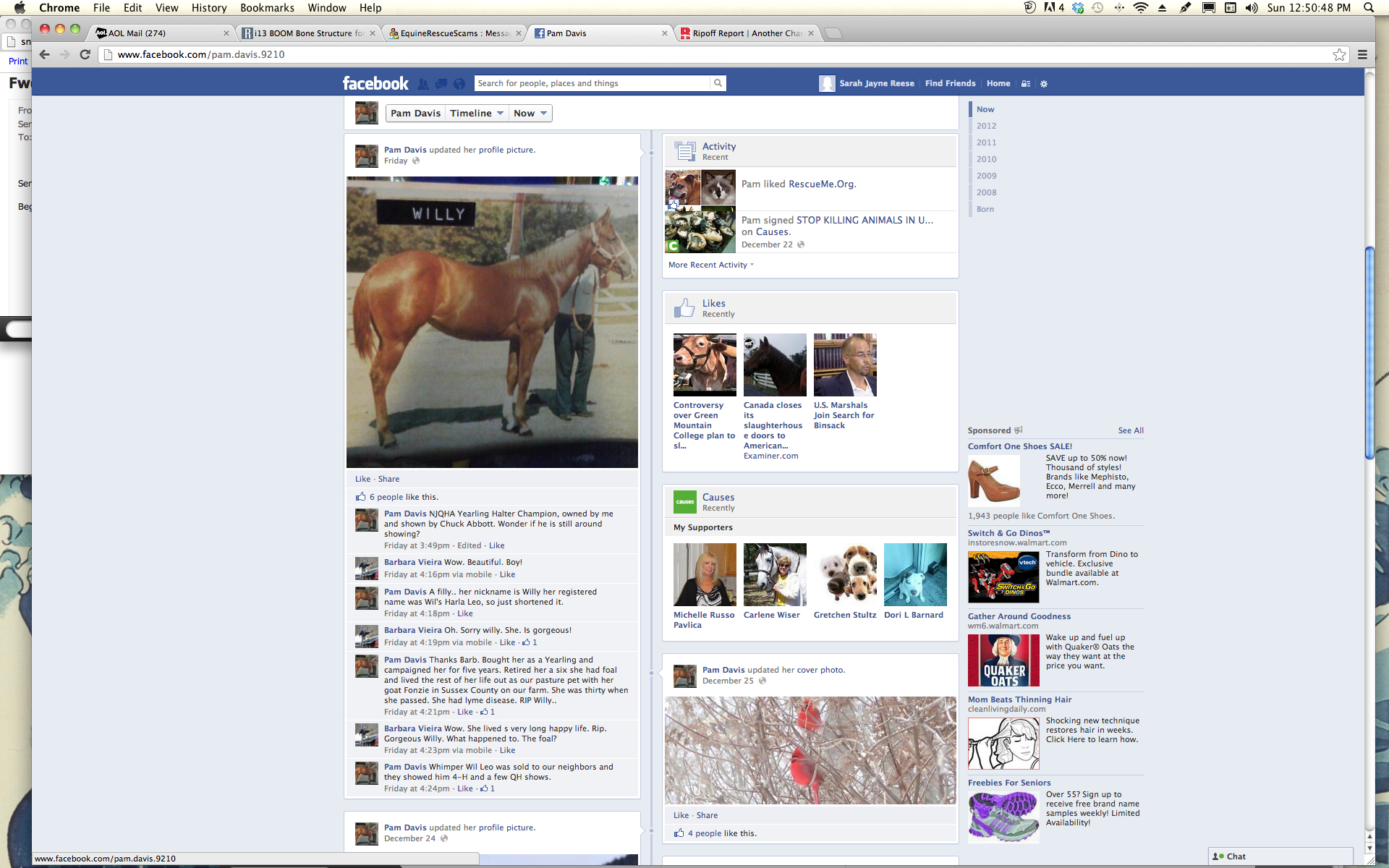 Screen shot of Pam Davis wall and convo about the ownership of QH mare Wils Harla Leo