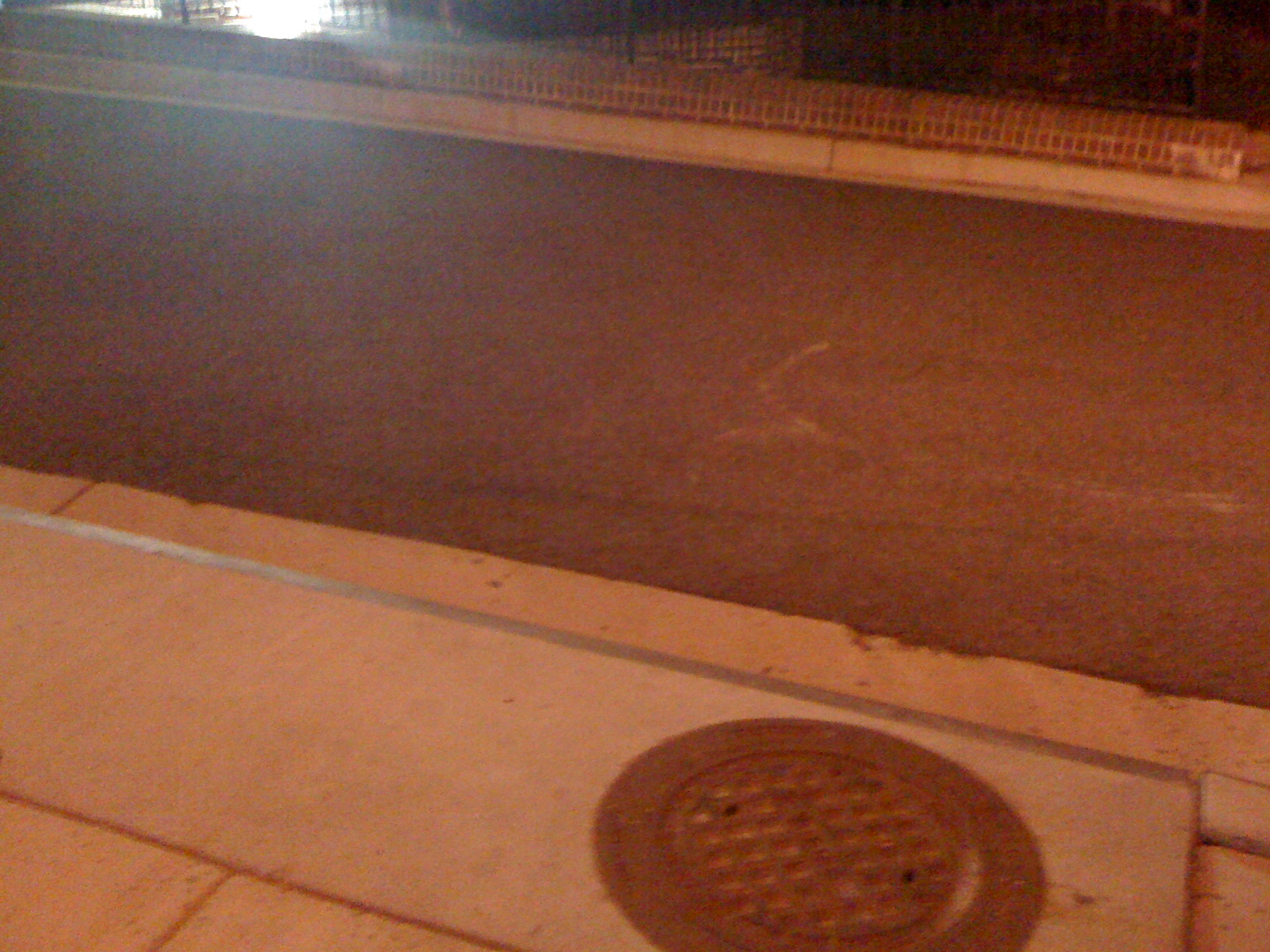 skid mark showing how far they dragged the car