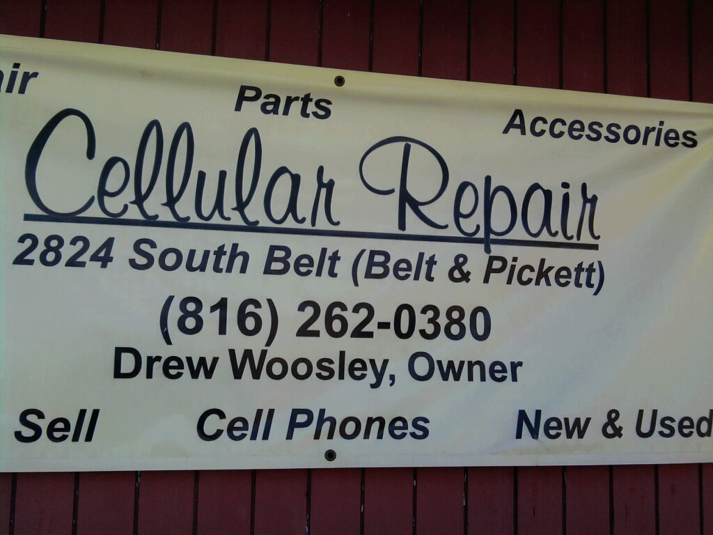 Cellular Repair