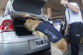 AFIP dogs corrupt Argentina