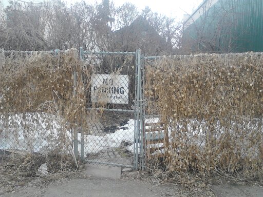 Backyard of 10039-80 Ave., Edmonton, Canada where I found my stolen bags in backyard with John with a walker