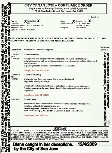 caught in the homeowner role as a result of the affadavit filed in court with Patti Selans notary stamp 