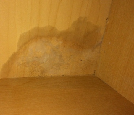 Cabinet stains