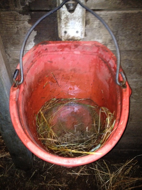 A typical water bucket