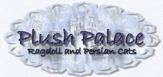 Plush Palace Logo