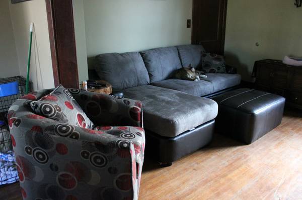 Their new furniture!