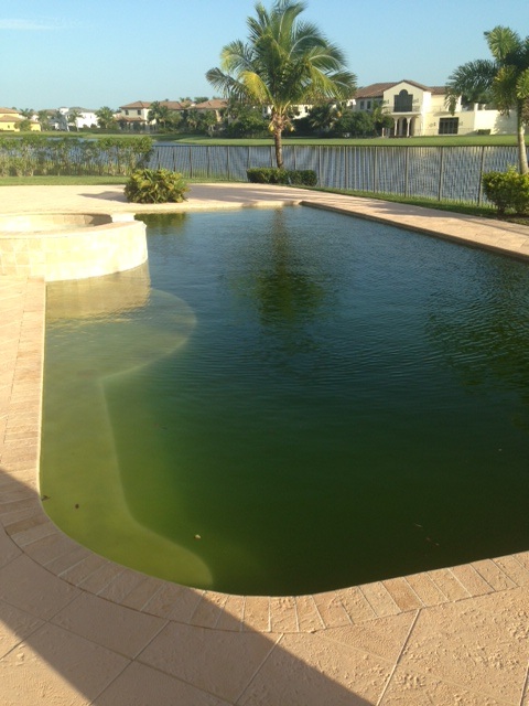 What a pool service!!! Right Choice Pools is the Wrong Choice!!!!