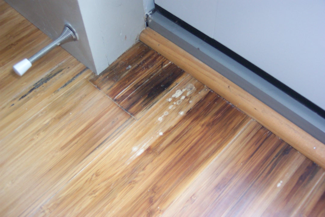 showing floor as it rots from water damage