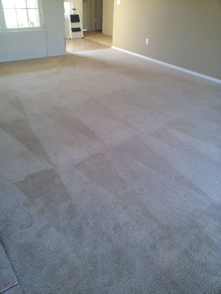 Carpet was professionally cleaned