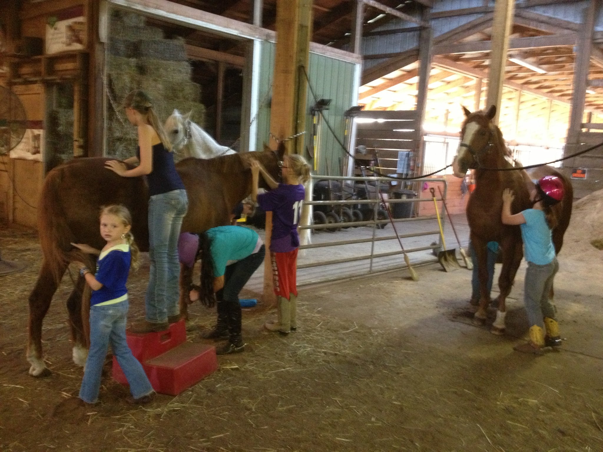 COWBOY CORNER LESSON KIDS PREPARING FOR A FUN SHOW!