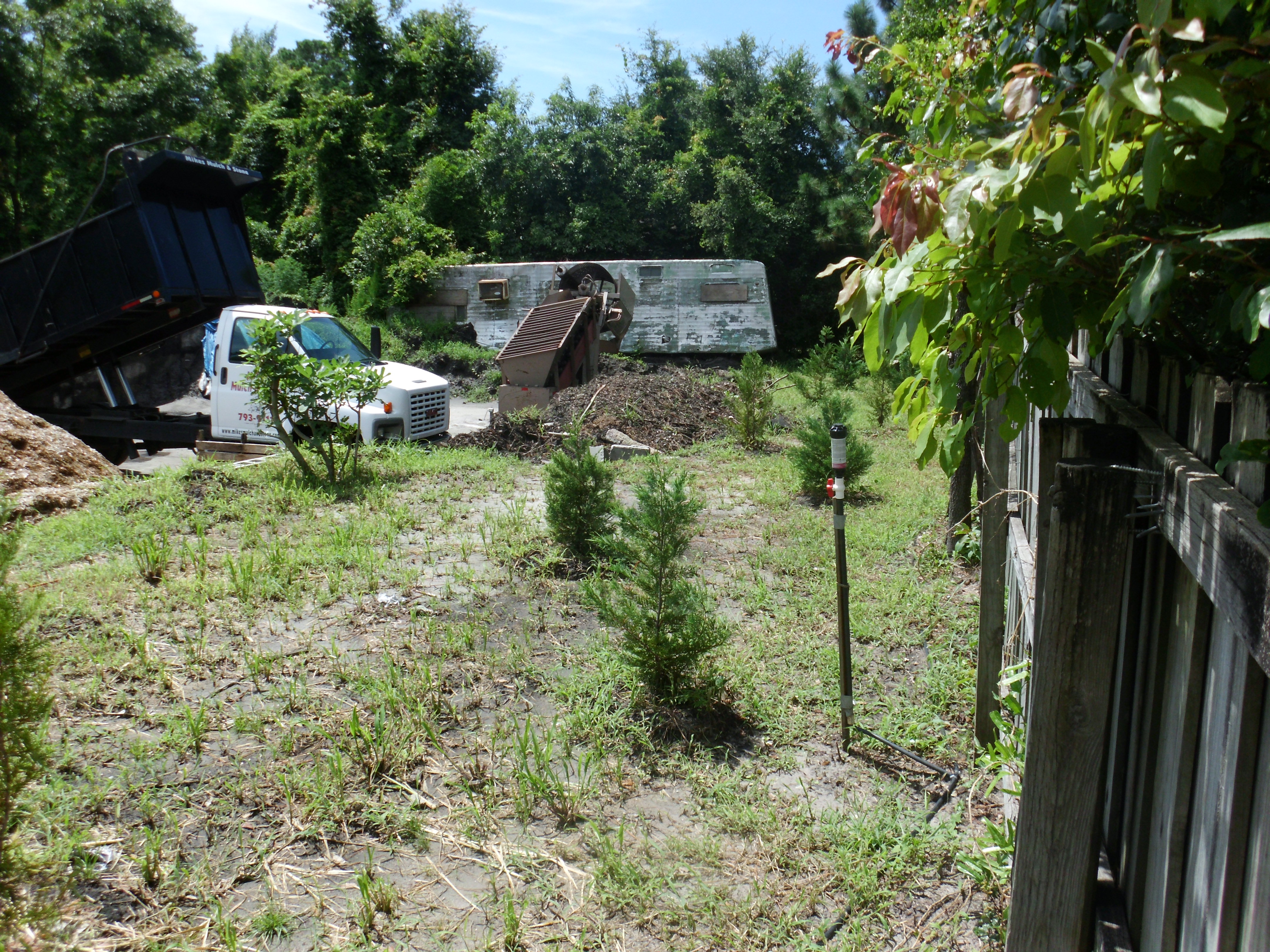 Puny plantings must be on my property to meet the ordinance