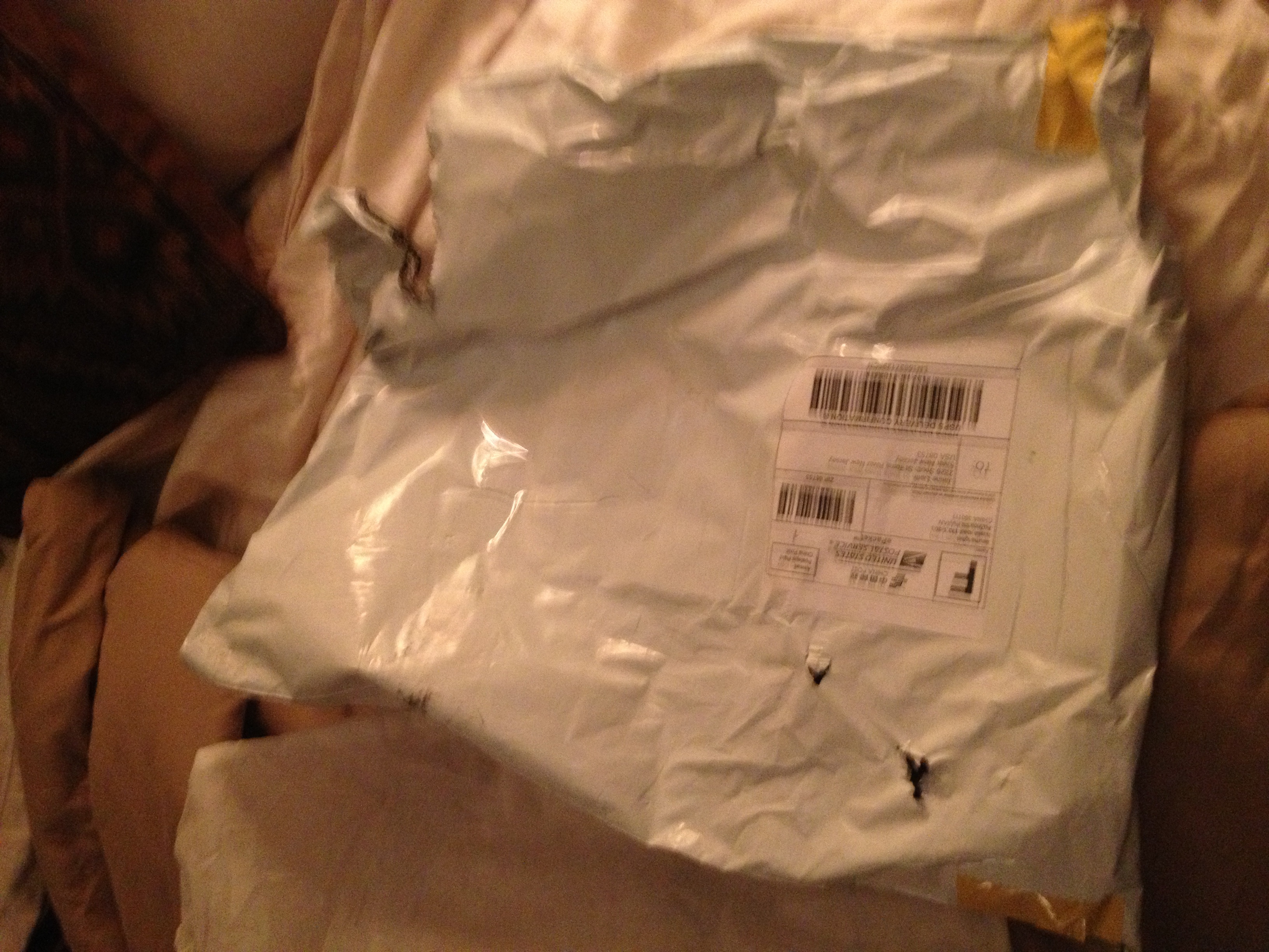 USPS Package the tote was shoved into