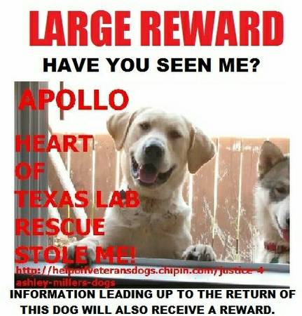 BRING APOLLO HOME