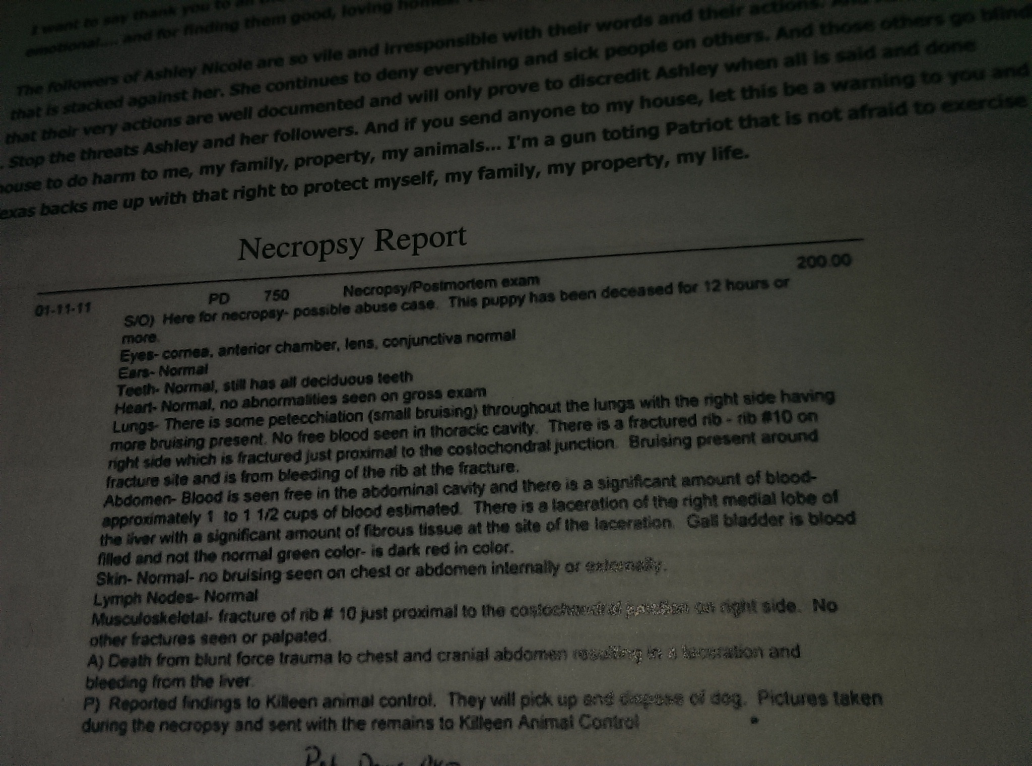 Necropsy Report on puppy Ashley kicked to death. Ashley has been charged MORE than once for Animal Cruelty! Also Police Report is in video on You tube.