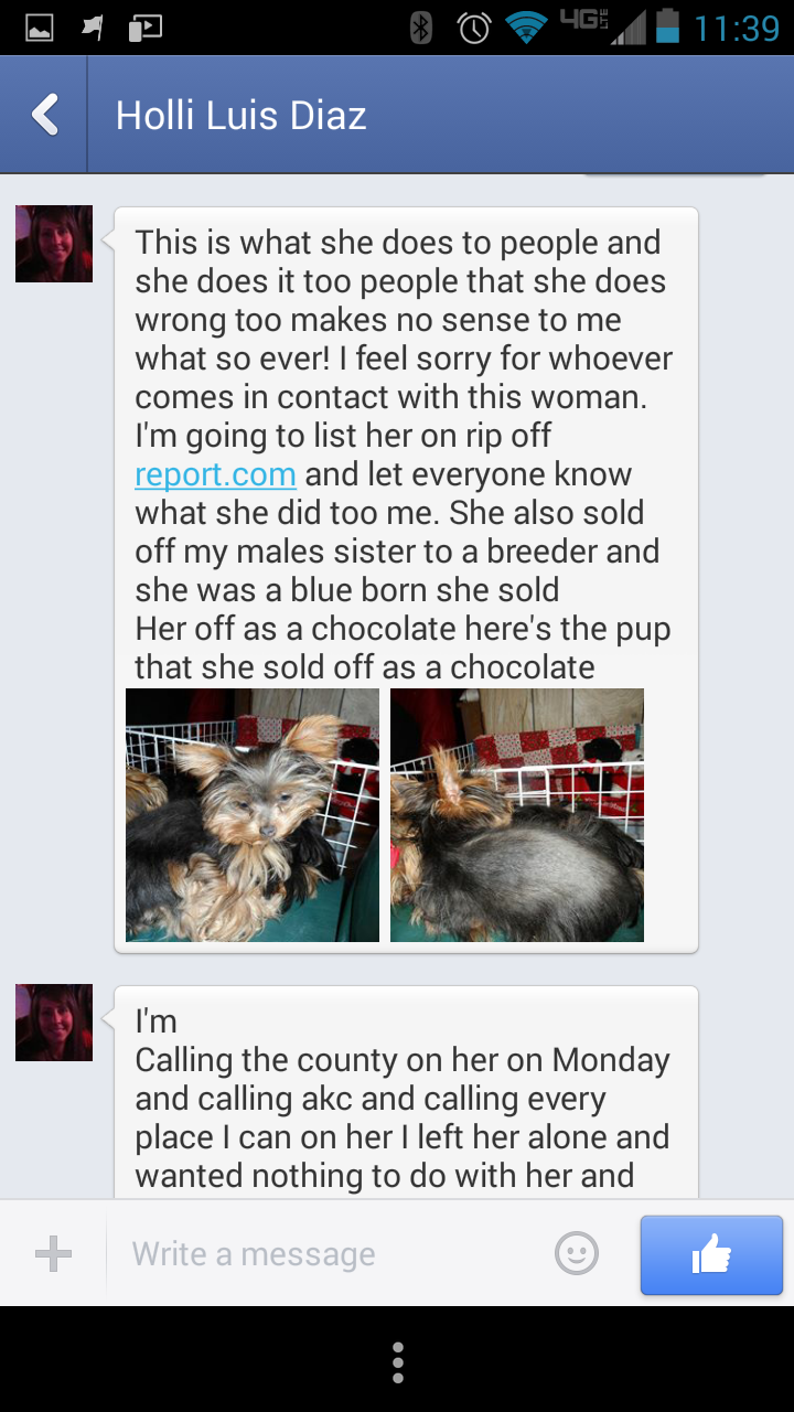 Prime example of Sharon Gray's work as a puppy mill breeder