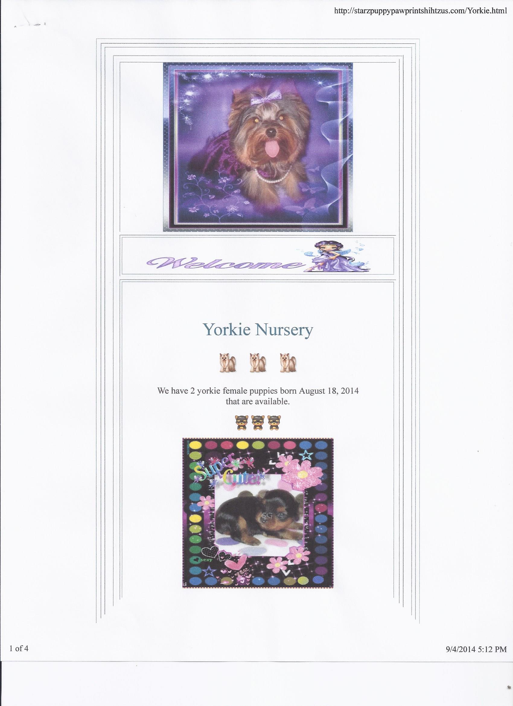 Yorkie page showing only two Yorkie's were born now instead of three.