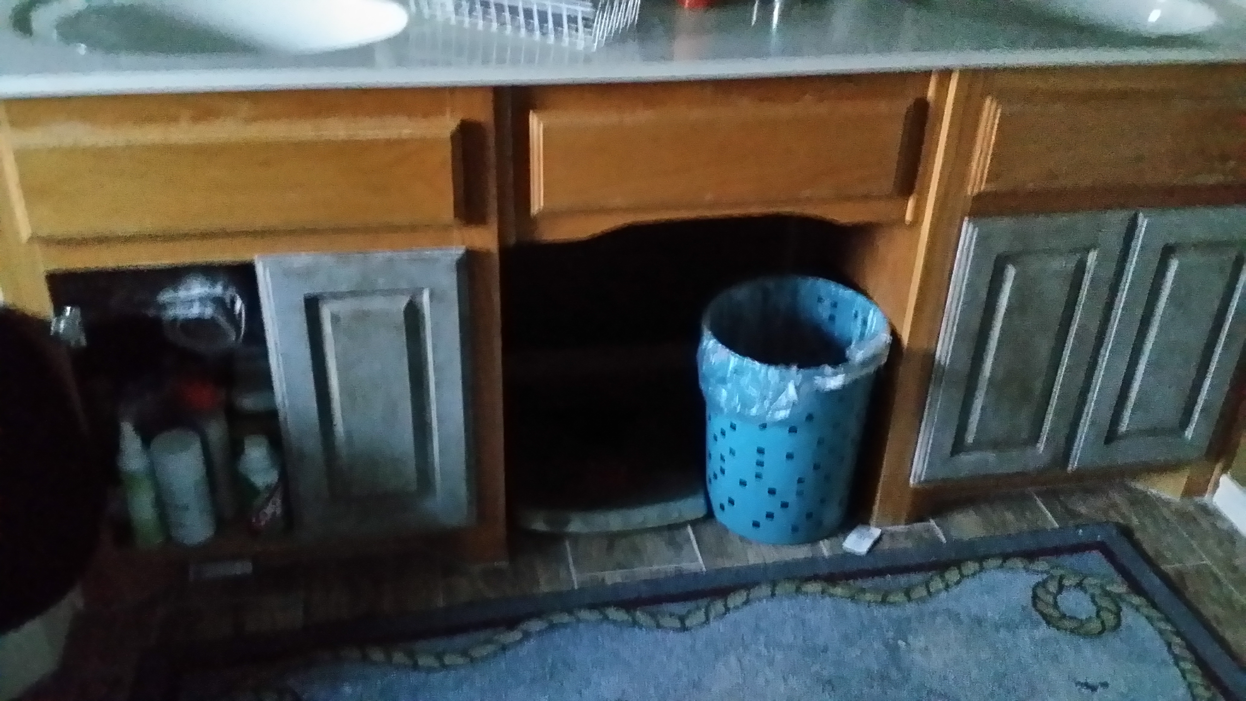 the oak cabinets have painted and missing doors