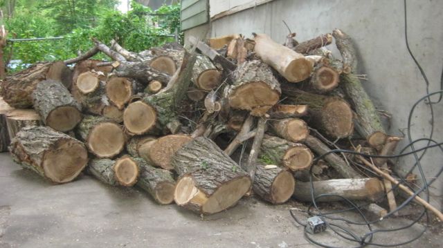 Heavy chunks left behind. All over the yard. *I* put most of them in a pile. Picture does not show all wood left behind.