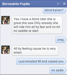 Blind rider