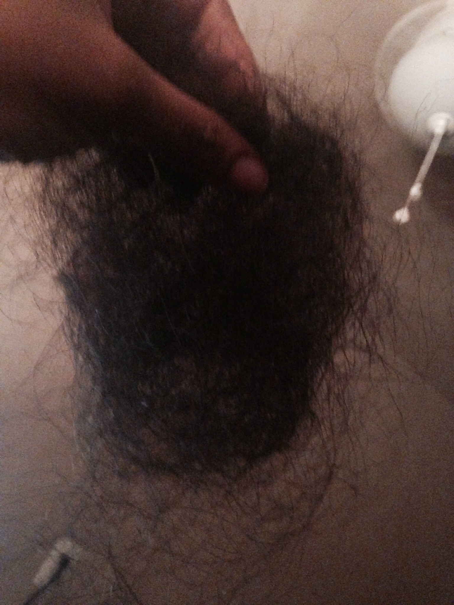 Not even HALF the Shedding!