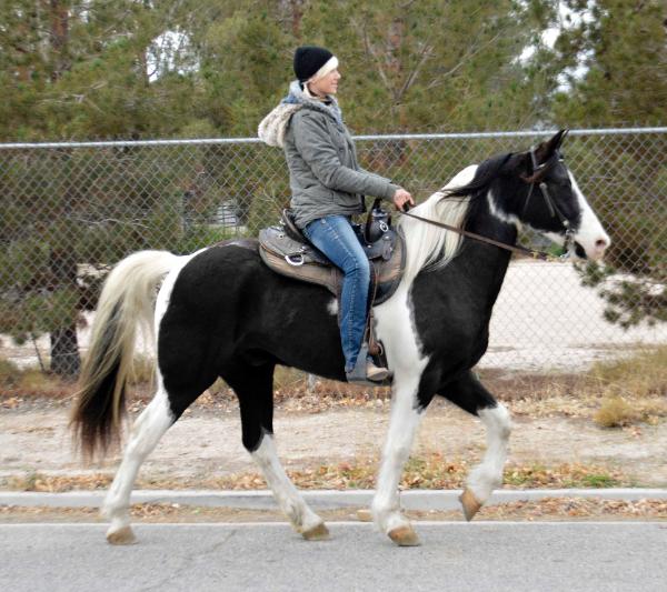 Lia riding Tank on website