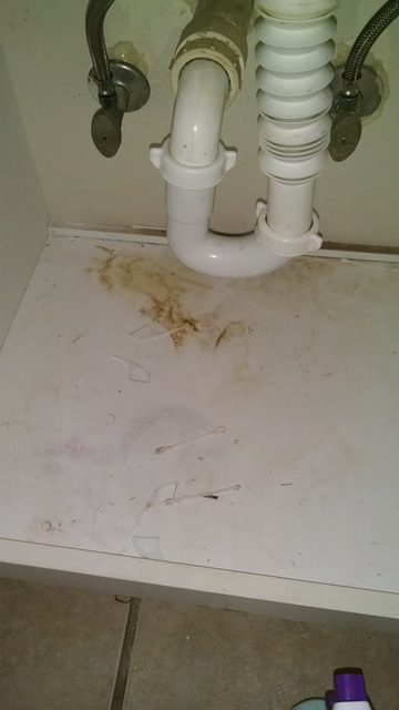 under bathroom sink