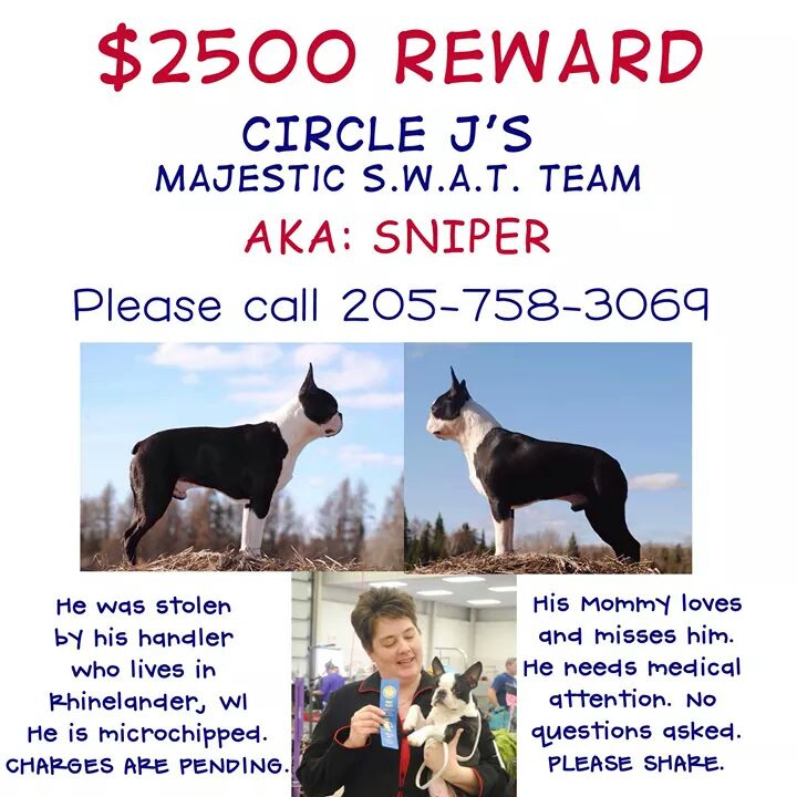 Reward Poster for Cindy's precious boy "Sniper" that Jackie is hiding , praying we find him and get him home to his loving owner Cindy that miss's him dearly . 