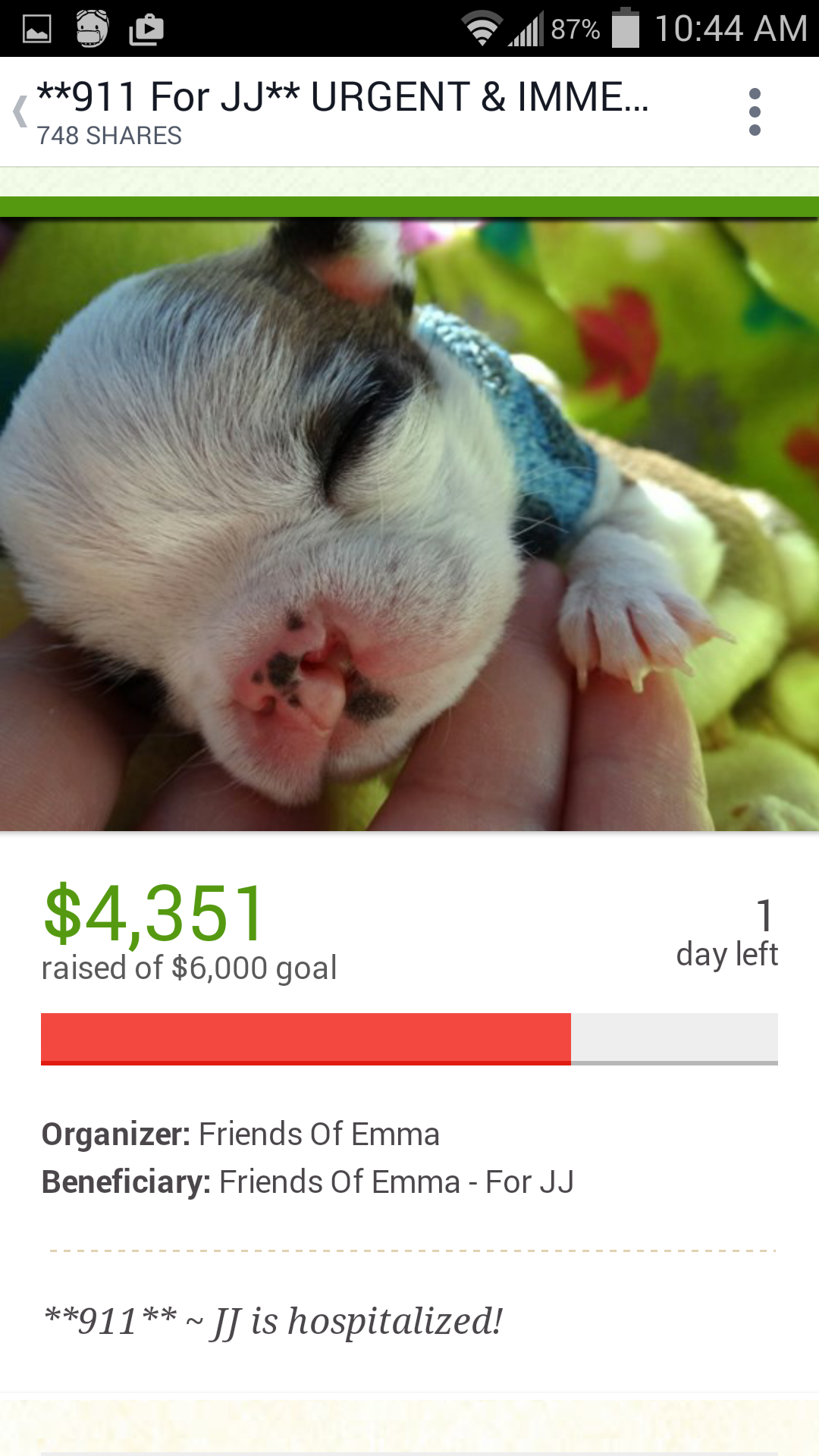 2nd fundraiser, same animal, different name
This dog died six days after Elizabeth received him.  