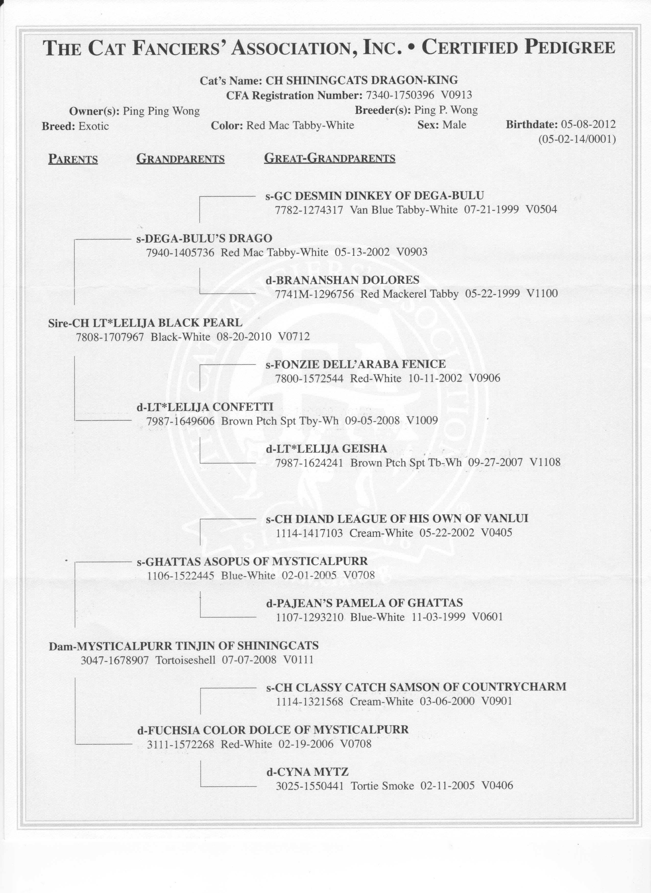 Shinningcats Dragon King Pedigree