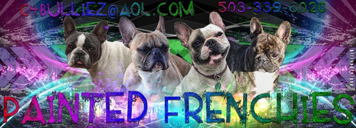 This is "The Banner" she is still using (come to find out) with ALL but the far left frenchie are mine! By name Left to Right they are (Her) Pandora, (My) North Star, (My) Super Nova & (My) Princess..