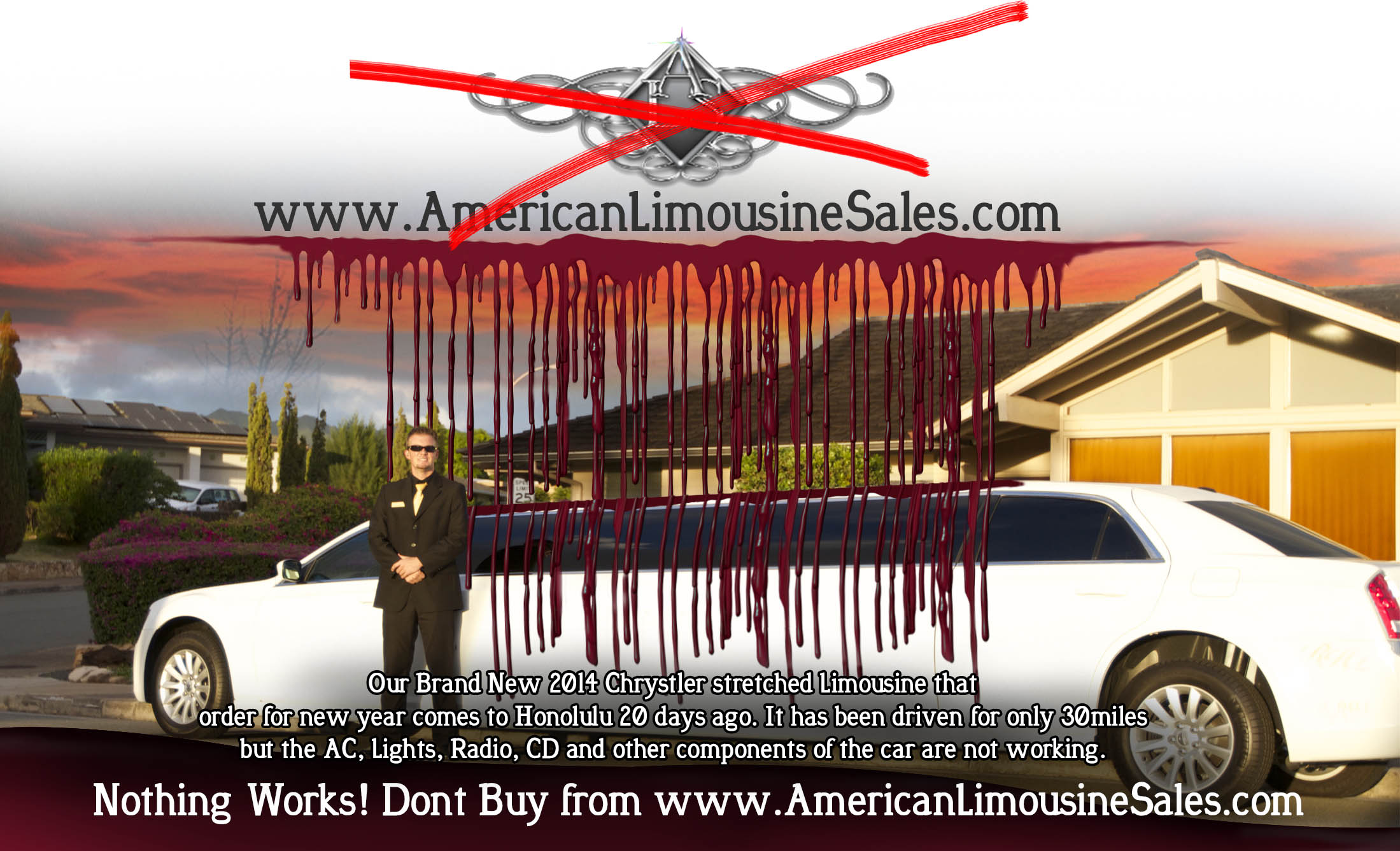 American Limousine Sales 2