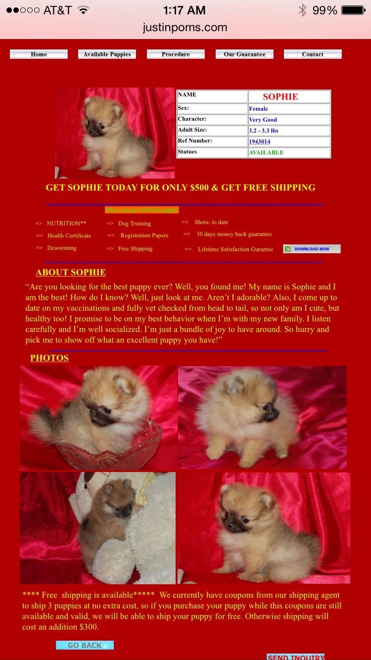 Sophie is the puppy I was scammed out of. Beware!!!