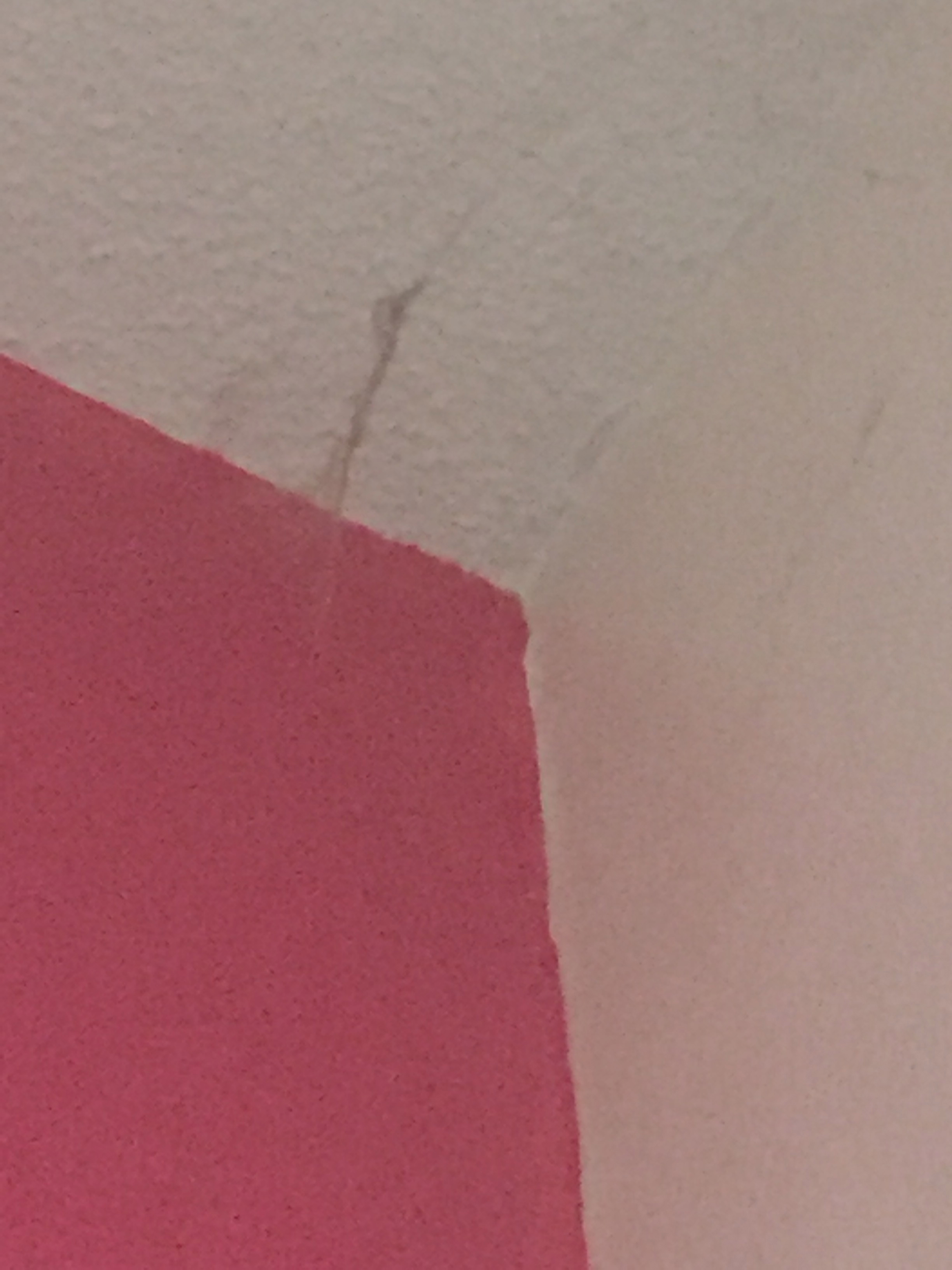 that is a huge cobweb to the right corner above my bed