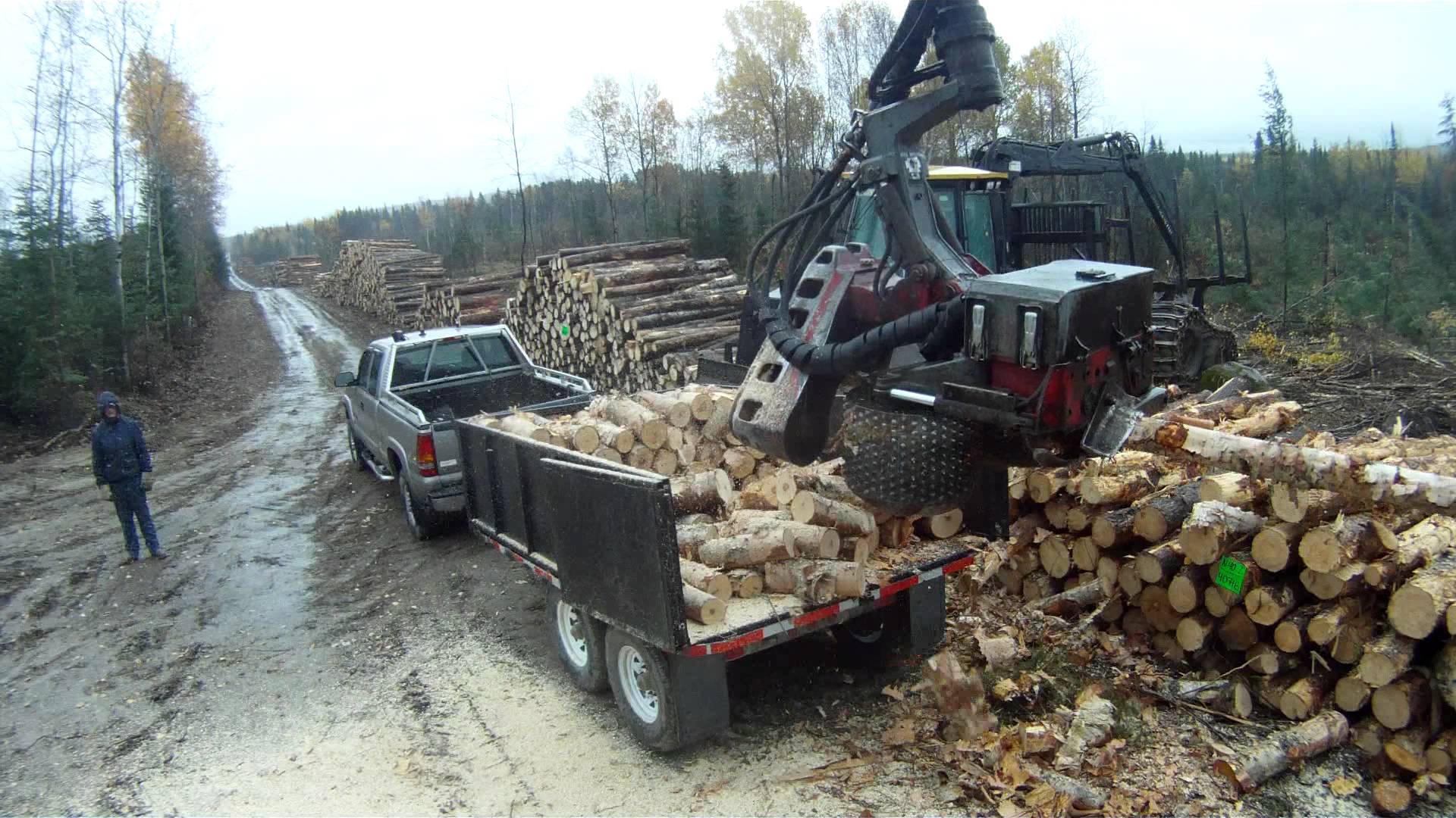 mobile splitter of firewood
