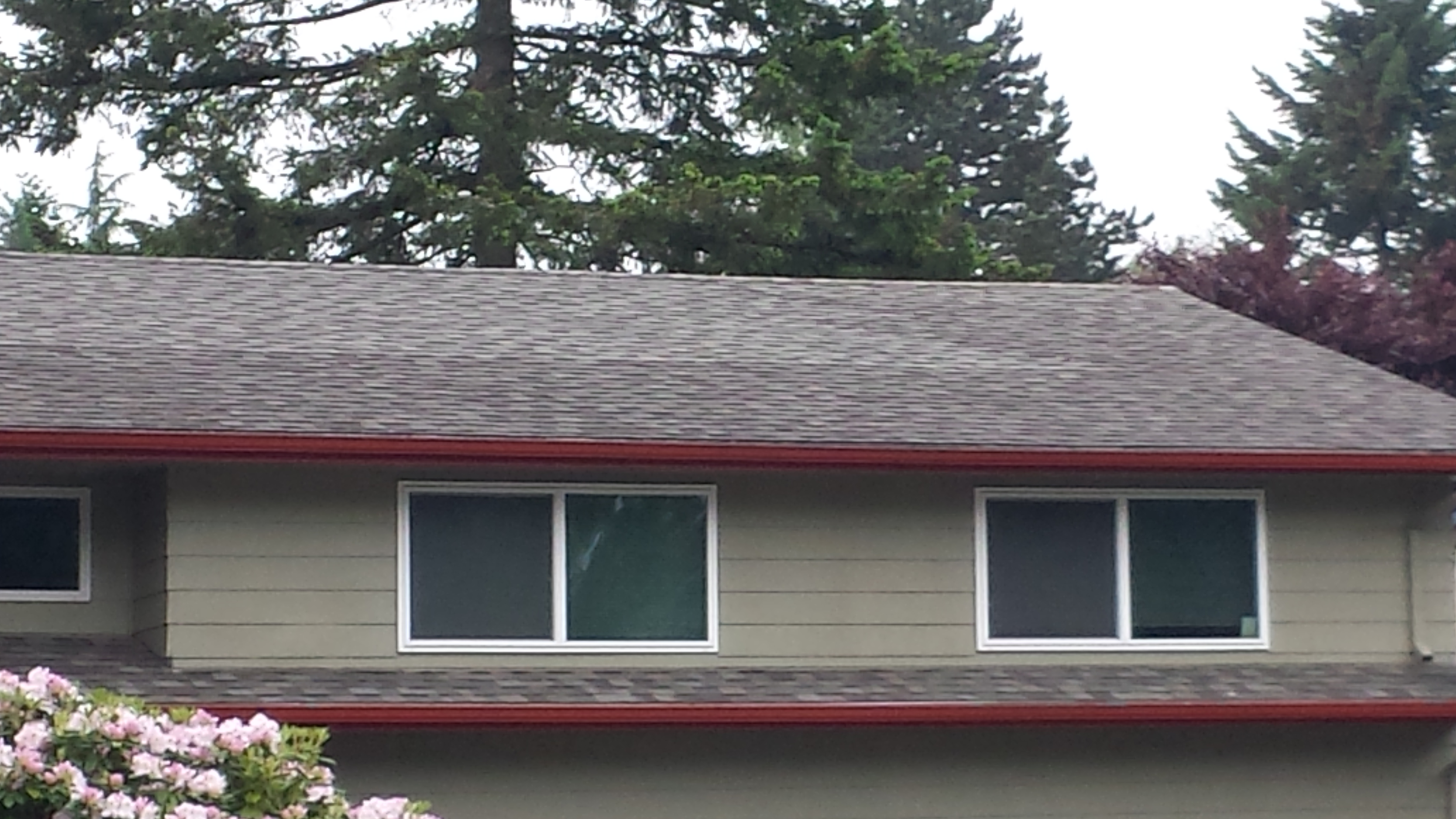 Mismatched Roof color