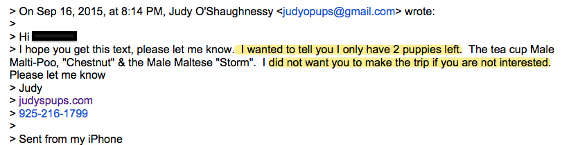 September 16–Judy's 8:14PM email informing me she has sold all but one maltipoo.