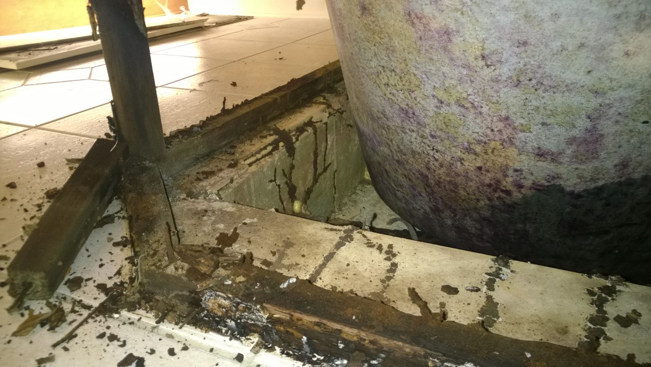 Bathroom Termite damage