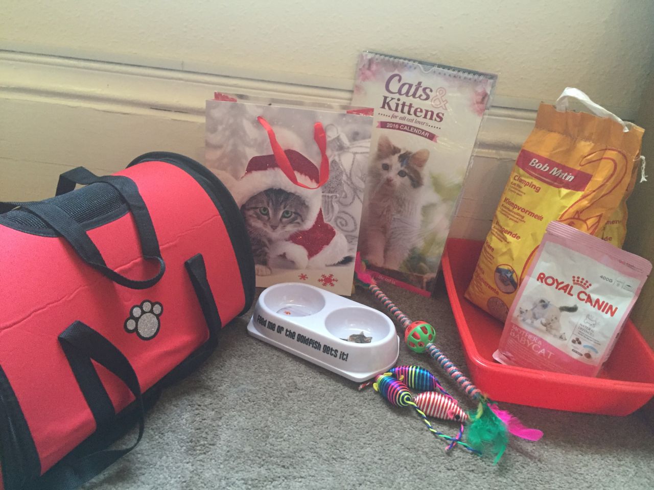 Kitten starter kit