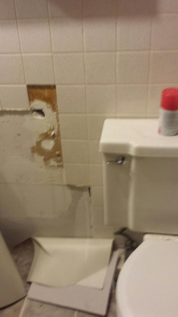 Disaster bathroom