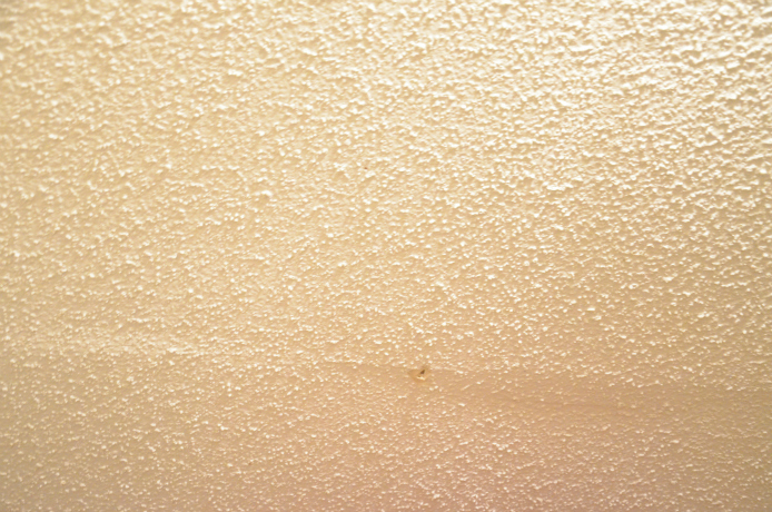 Another picture of the lovely ceiling (asbestos) in the utility room!