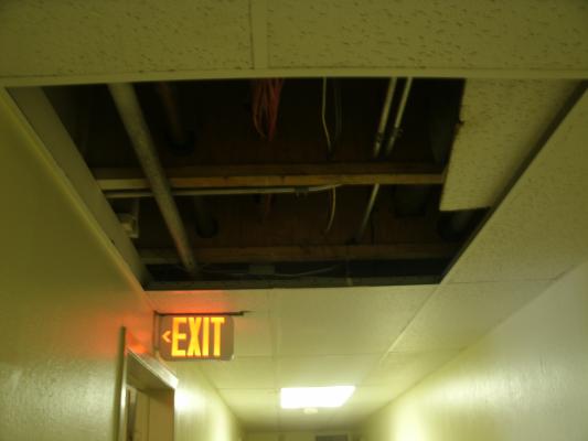 Missing ceiling panels in the old run-down hallways.
