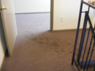Dirty carpet in stairwell.