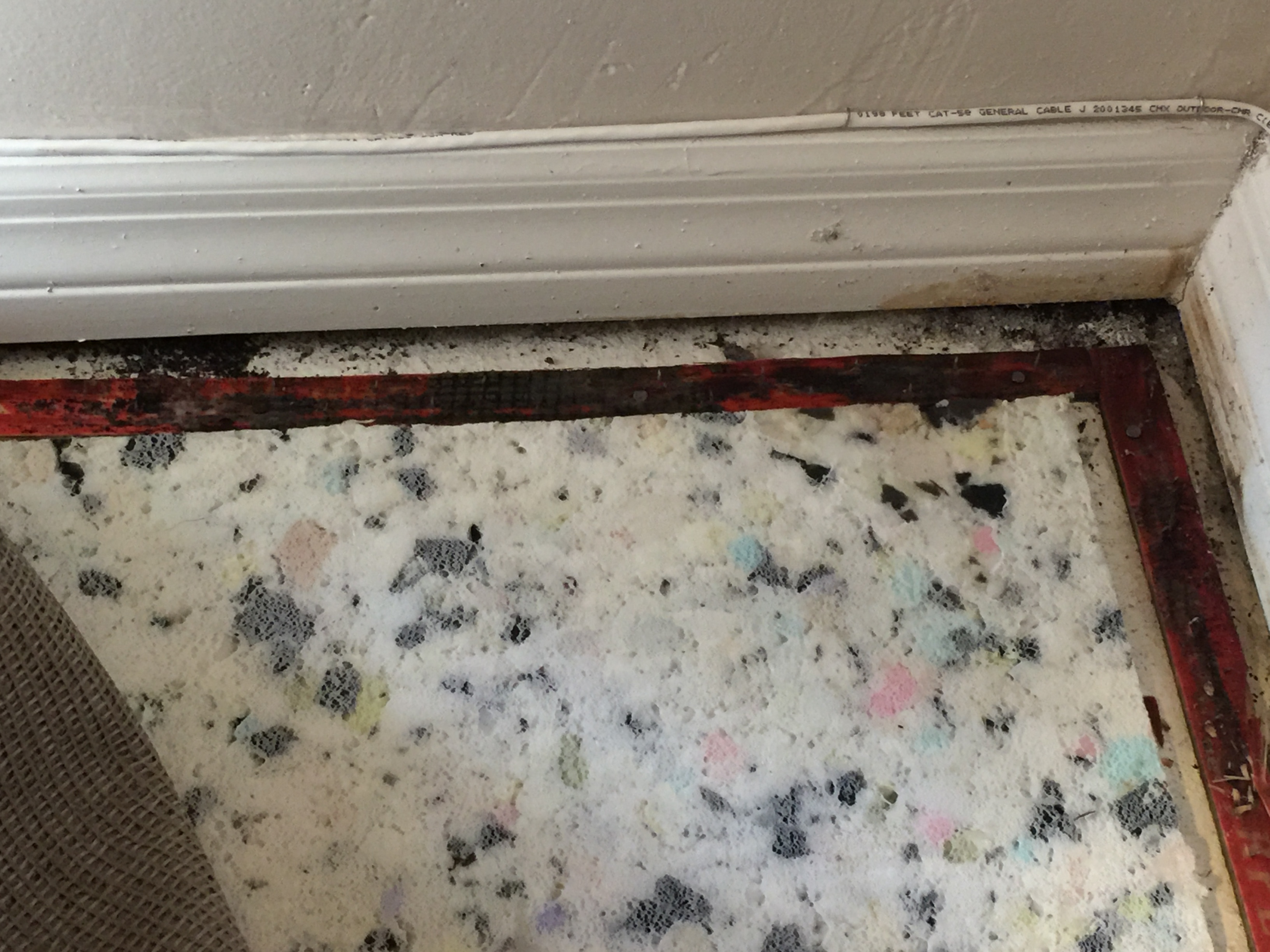 Wet floor from foundation that carpet wasn't cleaned properly.