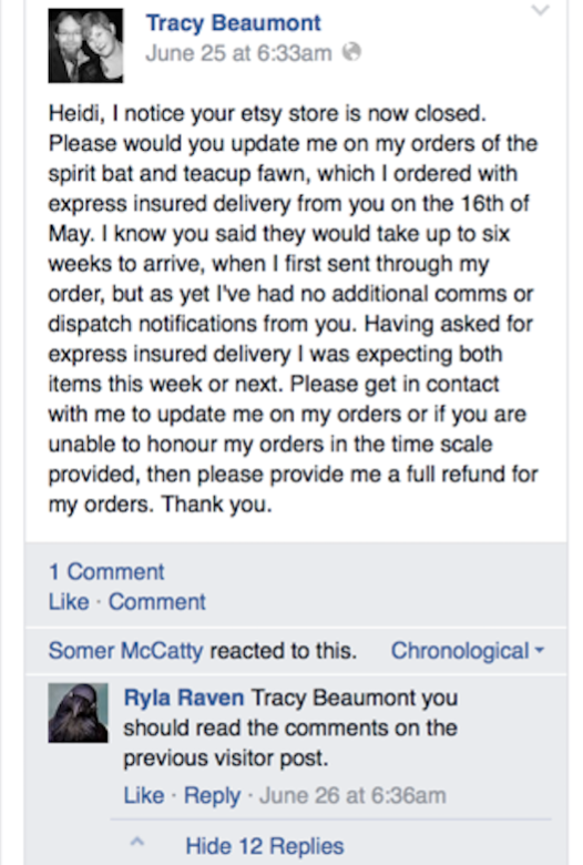 A screen cap of a comment left by a customer on Rikers Creature's facebook page after having her messages go unanswered. The comment has since been deleted 
