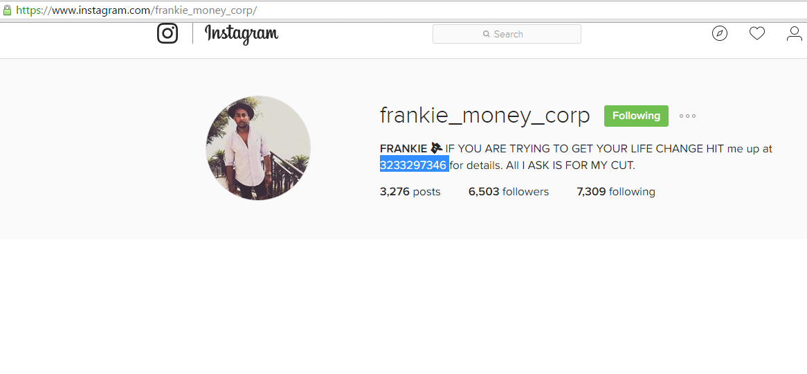 frankie instagram website